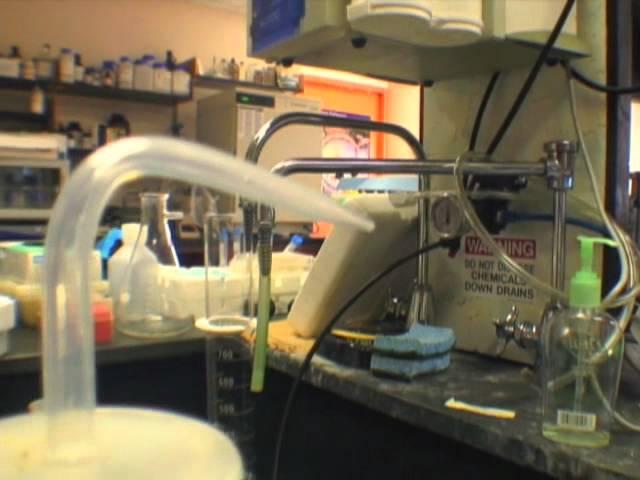 York College Virtual Tour