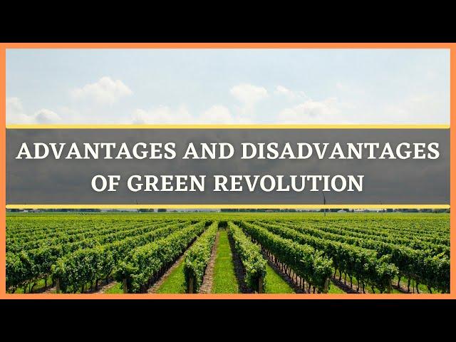 GREEN REVOLUTION:ADVANTAGES AND DISADVANTAGES OF GREEN REVOLUTION | BENEFITS OF GREEN REVOLUTION