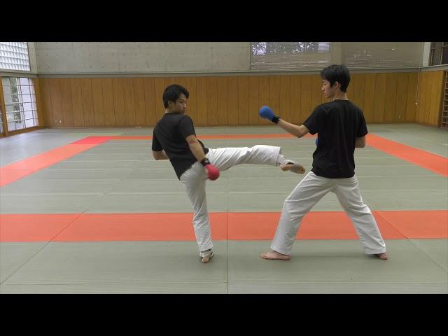 【KARATE TUTORIAL】Kumite Tactics Against Bigger Opponents