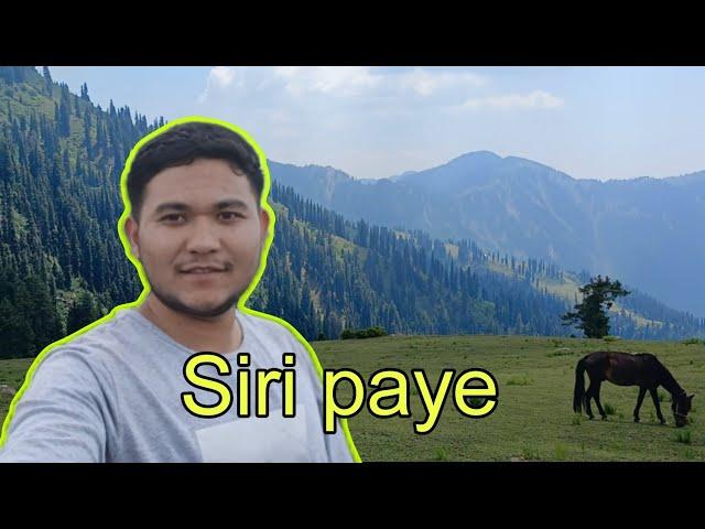 Siri paye, Shogran Valley Makra Park