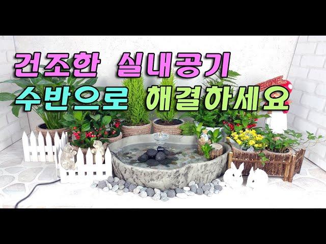 꽃분수와 연못 수반을 사용한 실내 연못 정원 꾸미기~