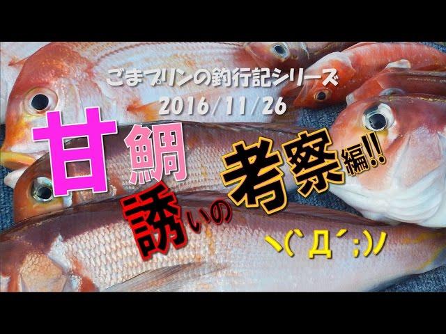 相模湾アマダイ誘い考察!!(16/11/26)