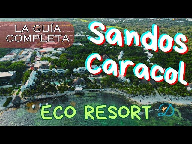 Sandos Caracol Todo Incluído  Guia Completa  Playa del Carmen 