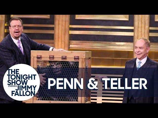 Penn & Teller Give a Lesson in Misdirection Using a Vanishing Chicken