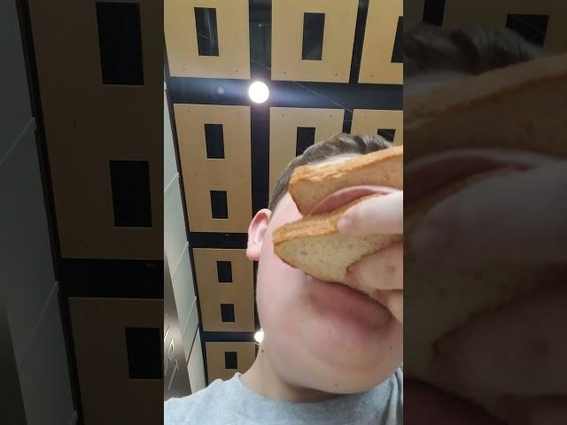 Ham And Cheese Sandwich (Most Viewed Video [Without 1K Milestone])