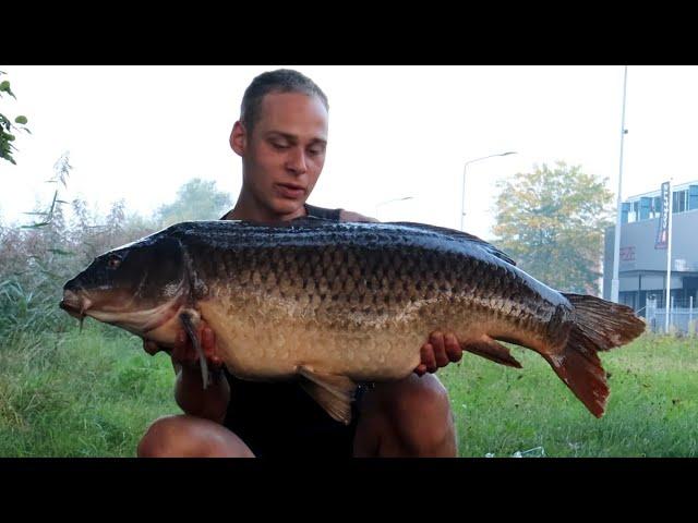 Nieuw record KARPER GEVANGEN op KANAAL