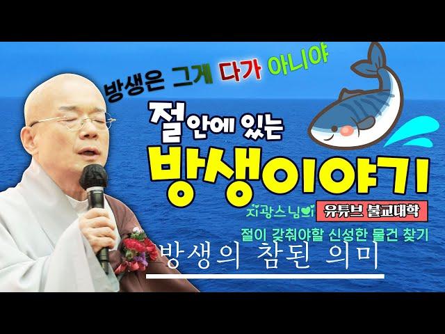 절 안에 있는 방생 이야기,방생은 그게 다가 아니야 「유튜브 불교대학」. 「YouTube 불교대학」