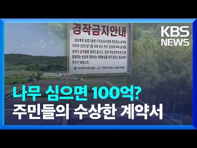 나무 심어서 100억 원 보상?…조경업자와 7:3 계약까지 / KBS  2023.05.17.