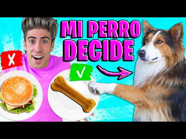 MY DOG DECIDE MY DAY!! (24 HOURS) Clothes, Food, Games and More!!