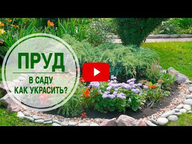 Как украсить Пруд на даче?  Ландшафтный дизайн с  Хитсад.