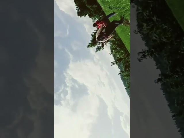 it's the real beauty of Nature || song hawayein (lofi song)