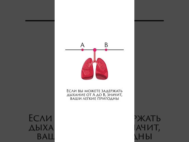 Правильное дыхание(тест Бутейко)