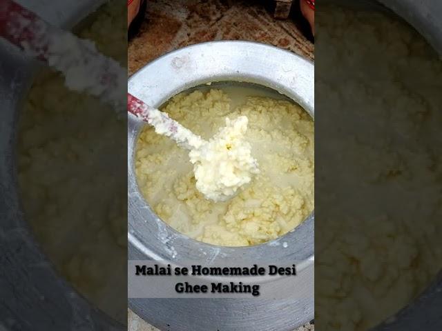 मलाई से देसी घी केसे बनाते है | Homemade Desi Ghee Making from Malai | Desi ghee kse bnaye | #Shorts