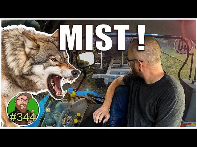 FarmVlog 344: Der Wolf ist da | Mist fahren | Highlandschlachtung