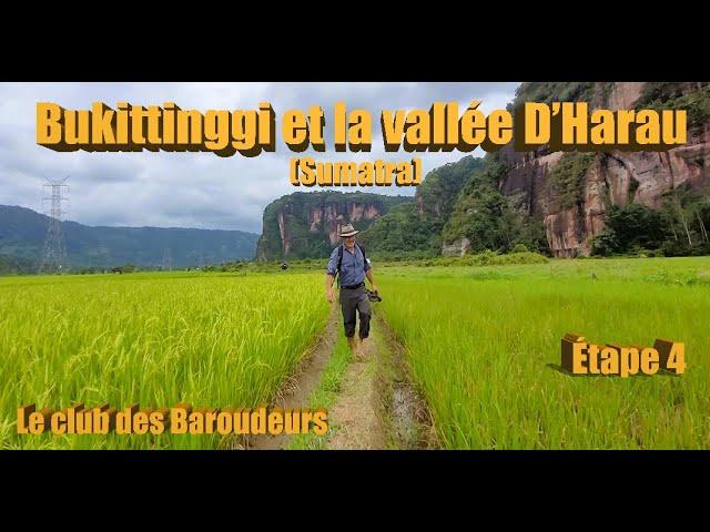 Bukittinggi/ Vallée D'Harau: La plus belle région de SUMATRA ( Road Trip Indonésie) !