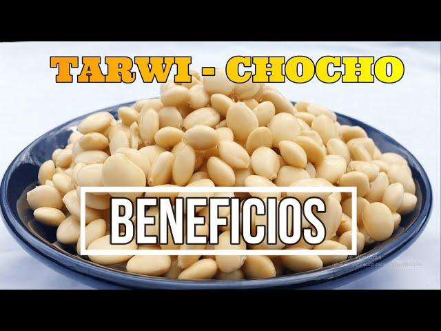 TARWI-CHOCHO, Beneficios y propiedades nutricionales