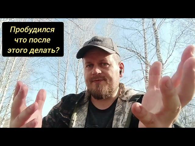 Пробудился что после этого делать? #осознанность #пробуждение #практикажизни #погружение #мухомор