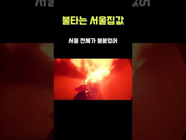 불타는 서울집값