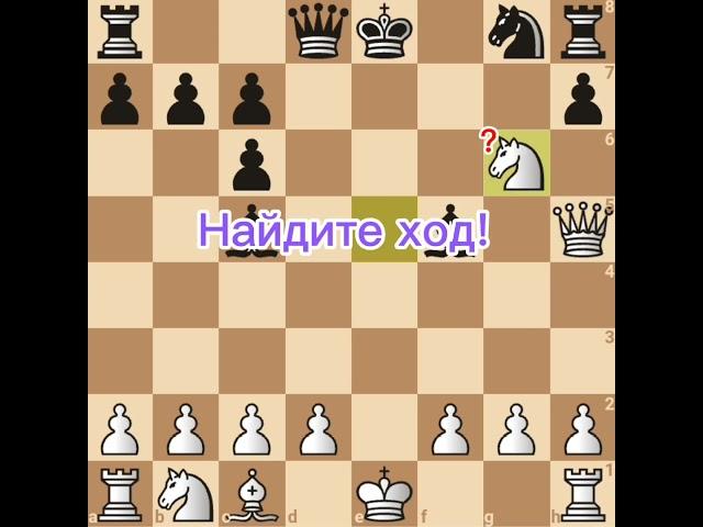 Чигорин - Шлецер. Латышский гамбит. Часть 1. Шахматы с Мариной.