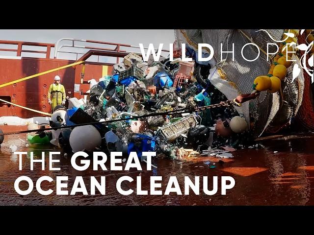 Stopping Ocean Plastic Pollution at its Source | WILD HOPE