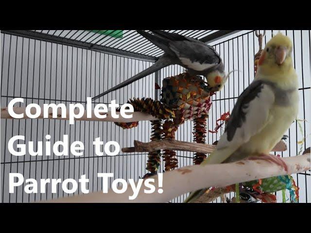 Guide to Choosing the Best Cockatiel & Conure Toys! | TheParrotTeacher