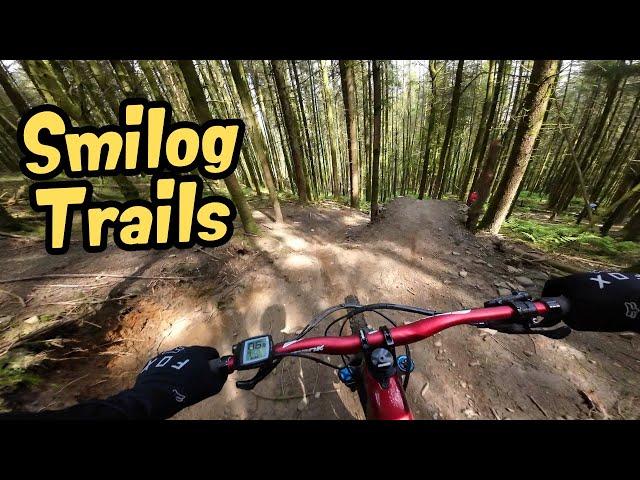 Perfect condition at SMILOG TRAILS