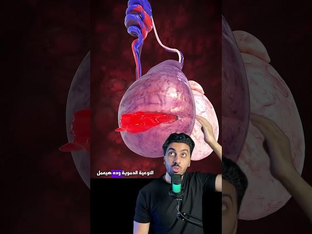 هو ممكن ركلة في الخصية تخلص عليك ؟