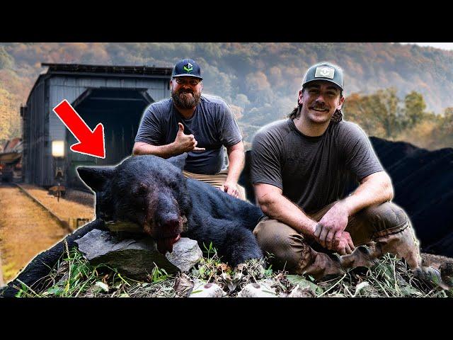 FIRST BEAR of the YEAR!! (Hunting with Hounds)