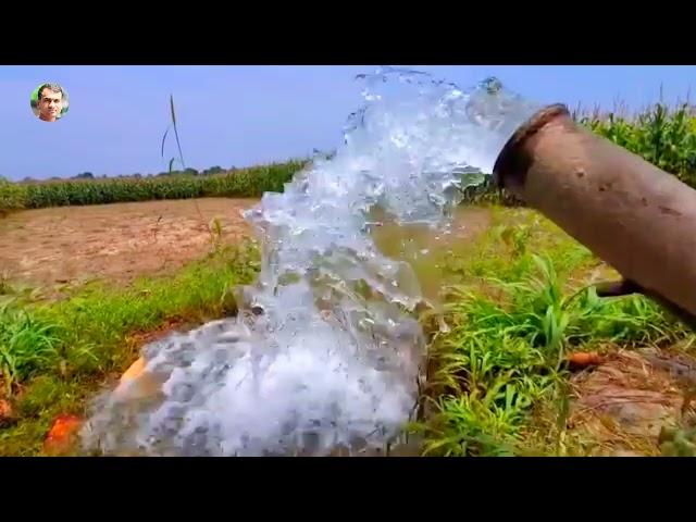 সেলো মেশিন | উত্তরবঙ্গের ঐতিহ্য | অপরূপ সুন্দর দৃশ্য | দিনাজপুর. কাহারোল বাইশপুর গ্রাম দিনাজপুর