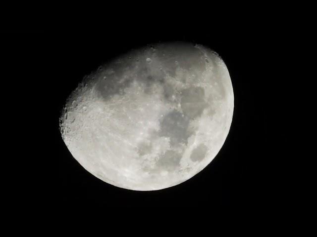 80.5% Moon / Luna - 00:00 Wednesday 1st February 2023 Gibraltar  Mediterranean - Nikon P1000