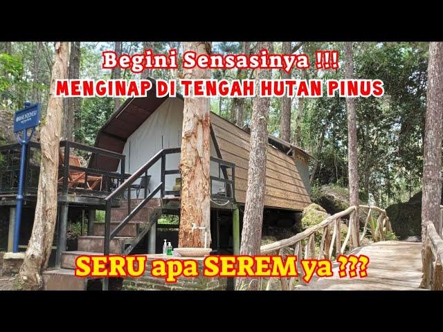 BEGINILAH SENSASI MENGINAP DI TENGAH HUTAN PINUS MANGUNAN || GLAMPING SONGGO LANGIT