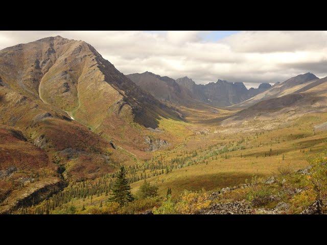 Hiking To The BIG View On The Grizzly Lake Trail