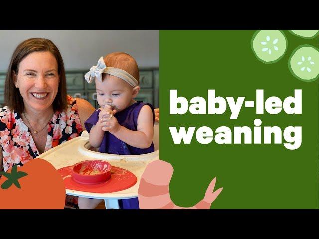 Baby-Led Weaning with Katie Ferraro