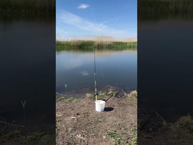 Кто куда , а мы на рыбалку #рыбалка