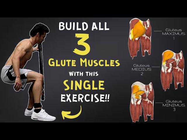 Want Better Glutes..? HIT ALL 3 GLUTEUS MUSCLES with a SINGLE EXERCISE!! (Maximus, Medius, Minimus)