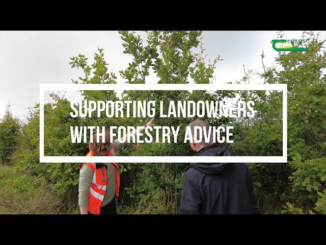 Forestry advisory services provided by Teagasc