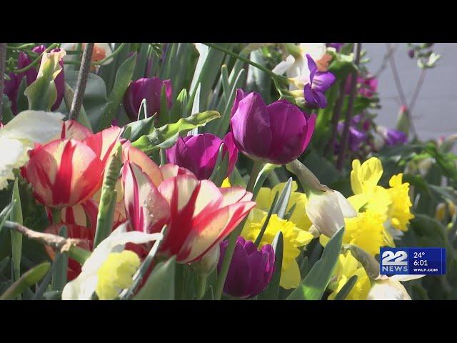 Smith College opens "Botanical Gardens Bulb Show"