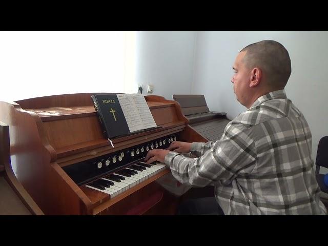 Redeemed How I Love To Proclaim It! | Organist Bujor Florin Lucian playing on Romanian Reed Organ