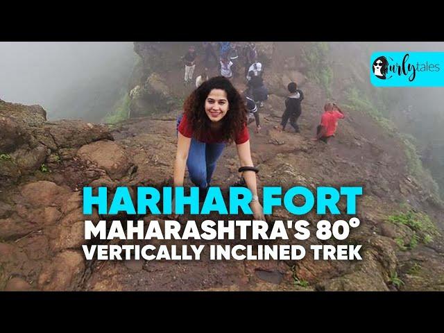 I Went On Maharashtra's 80° Vertically Inclined Trek At Harihar Fort In Nashik | Curly Tales