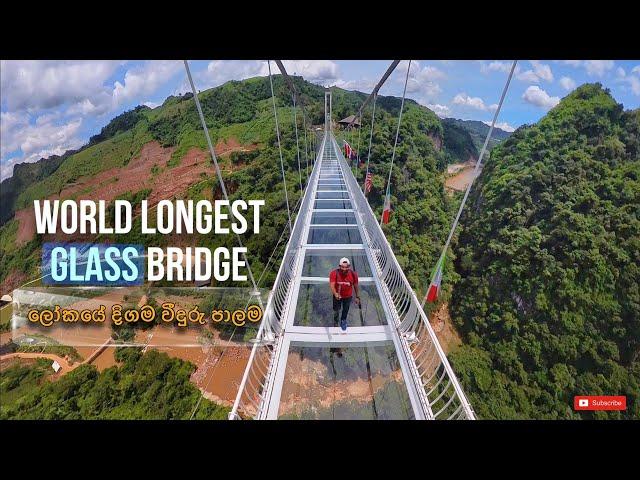 World Longest Glass Bridge | ලෝකයේ දිගම වීදුරු පාලම උඩින් | Bach Long bridge,Vietnam.#worldrecord