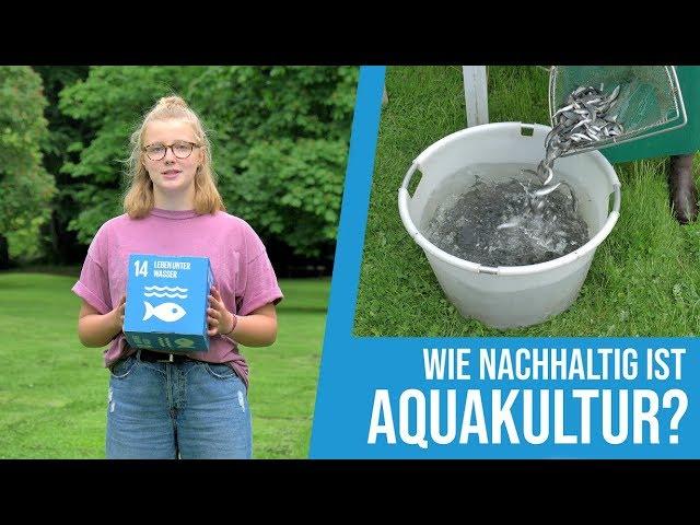 Mathilda fragt nach(haltig): Kann Fisch aus Aquakultur nachhaltig sein?