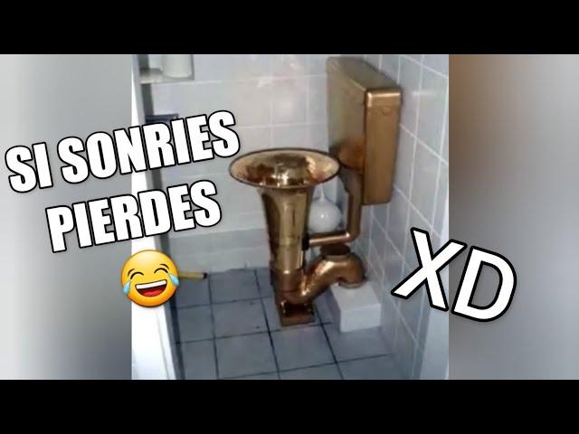 Los Mejores VIDEO MEMES RANDOM #49 Si Te Ries Pierdes, Videos De Risa, Try Not To Laugh Funny XD