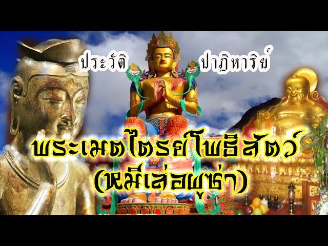 ประวัติพระเมตไตรย์โพธิสัตว์ : พระพุทธเจ้าองค์ที่ ๕ แห่งภัทรกัปป์