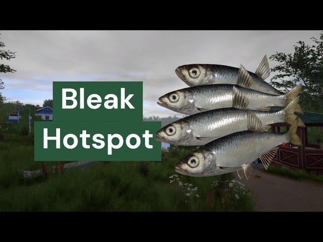 Bleak Hotspot (Baitfish) + Trophy | Mosquito Lake | Russian Fishing 4 | RF4