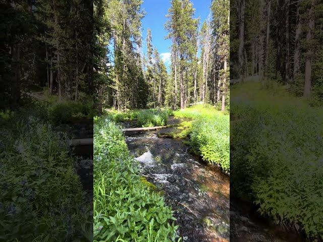 OAMI Adventures: Gallatin waters #outdoors