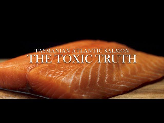 Tasmanian Atlantic Salmon, The Toxic Truth