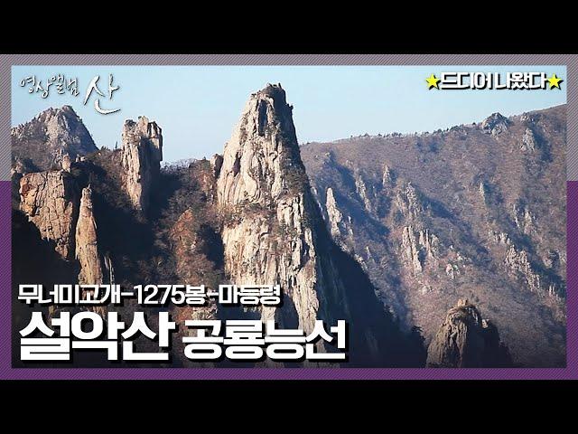 [영상앨범 산]올 것이 왔다국내에서 가장 아름다운 산 1위, 설악산의 최고 경관 ‘공룡능선’ |“하늘 길, 바위능선에 새긴 우정 - 설악산 공룡능선”(KBS 170519 방송)