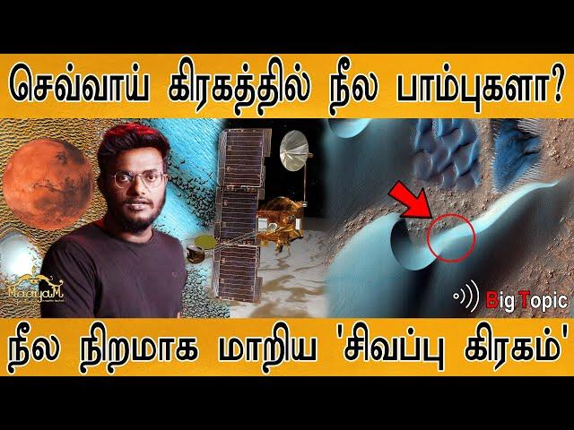 செவ்வாயில் பாம்புகளா? | நீலமாக மாறிய 'சிவப்பு கிரகம்' | Snake spotted in MARS? | Karthick MaayaKumar