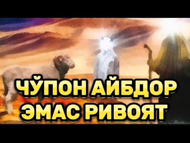 СУЛАЙМОН АЛАЙХИССАЛОМ ВА ДЕХҚОН РИВОЯТ (Шухратжон Домла)