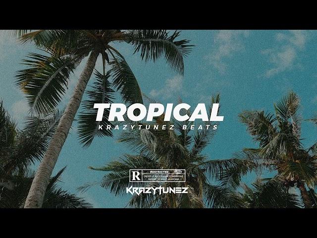 Burna Boy x Wizkid | FREE Dancehall Instrumental 2023 - "TROPICAL"